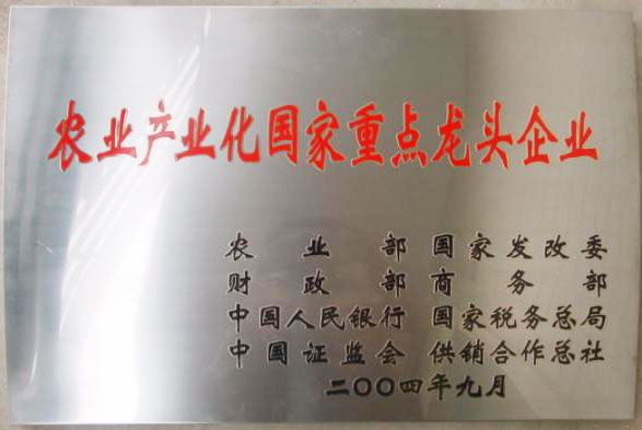 立足过去、放眼未来，完美(中国)一站式服务官网二十三岁生日快乐